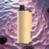 Alibarbar Ingot 9000 Puffs 22ml 2350mah Blackberry Ice Disposable Vape