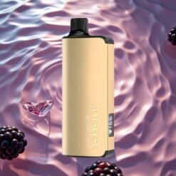 Alibarbar Ingot 9000 Puffs 22ml 2350mah Blackberry Ice Disposable Vape