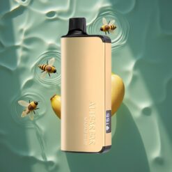 Alibarbar Ingot 9000 Puffs 22ml Banana Buzz Disposable Vape LED Display