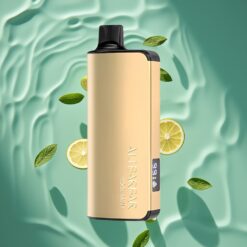Alibarbar Ingot 9000 Puffs Disposable Vape Cool Mint 22ml LED Display