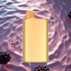 Alibarbar Rich 8000 Puffs 20ml 2000mAh Blackberry Ice Disposable Vape