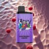 IGET Bar Pro 10000 Puffs Raspberry Grape 2000mAh Mesh Coil