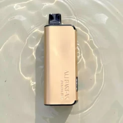 Alibarbar Ingot Non-Rechargeable 9000 Puffs 22ml Mesh Coil